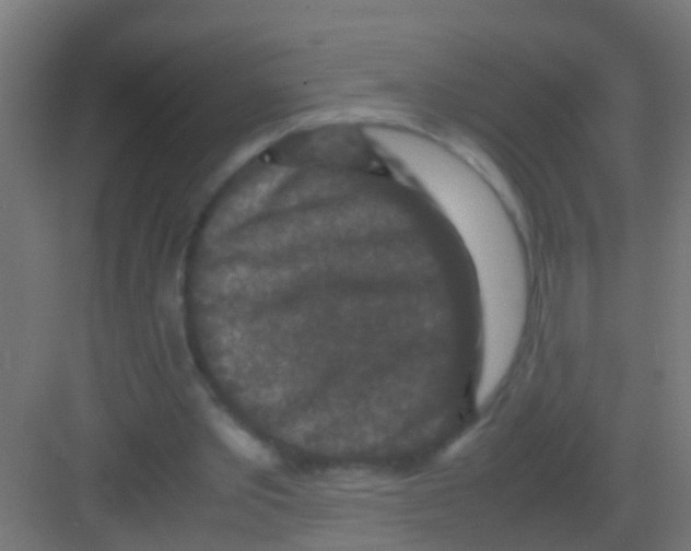 X0000081310389200702082116