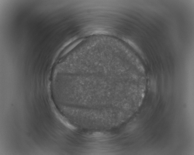 X0000081310390200702082116