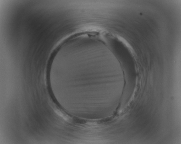 X0000081310391200702082116