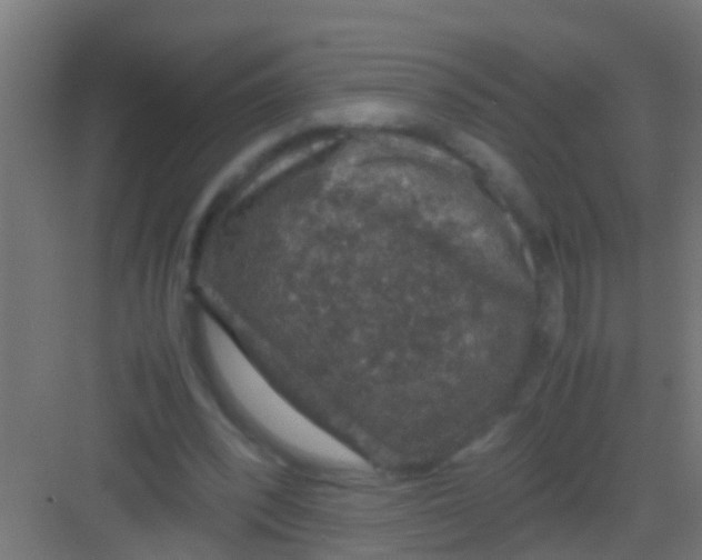 X0000081310392200702082116