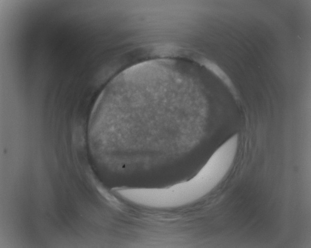 X0000081310393200702082116