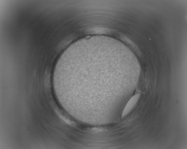 X0000081310394200702082116