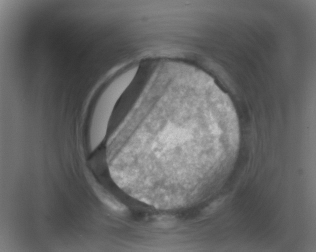 X0000081310395200702082116