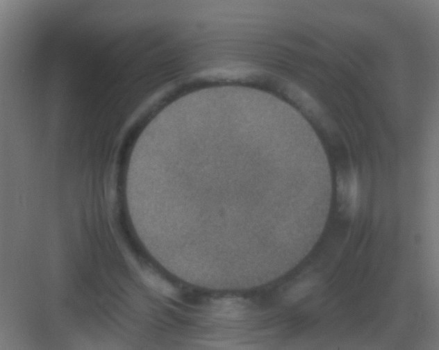 X0000081310396200702082116