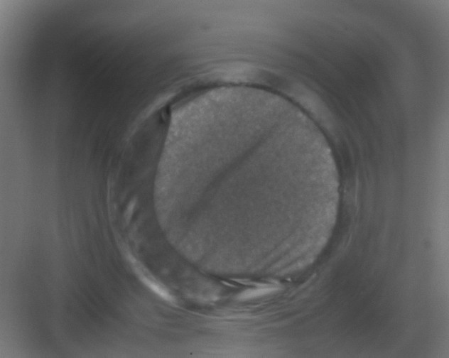 X0000081310397200702082116