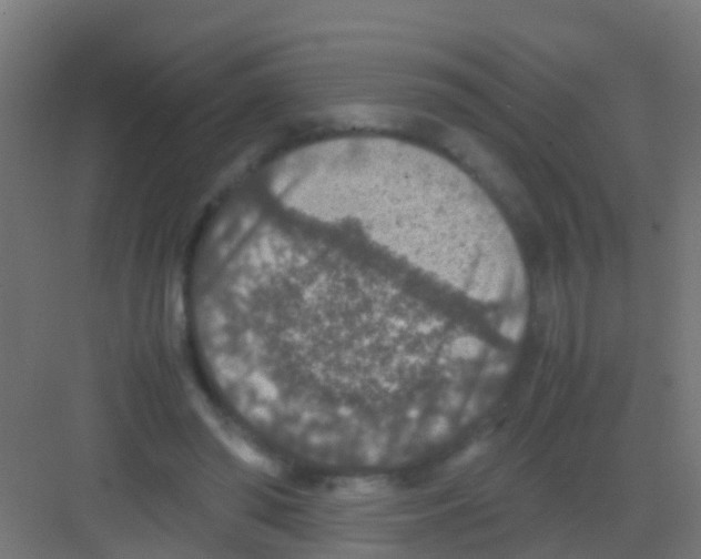 X0000081310398200702082116