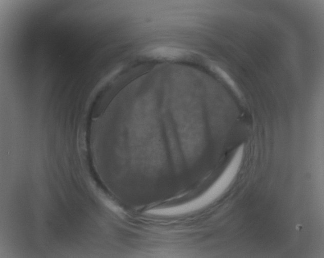 X0000081310399200702082115