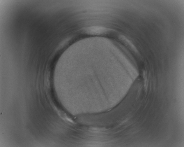 X0000081310400200702082115