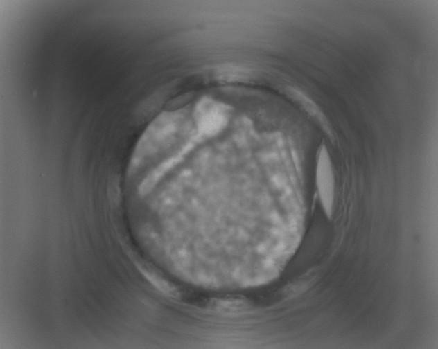 X0000081310401200702082115