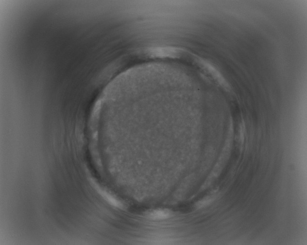 X0000081310402200702082115