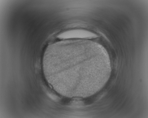 X0000081310403200702082115