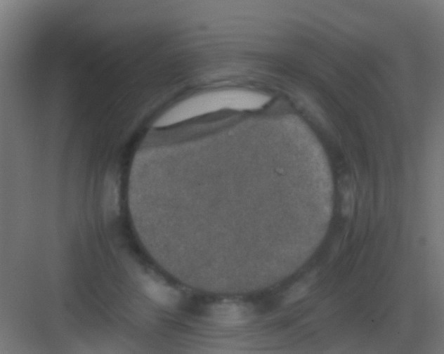 X0000081310404200702082115