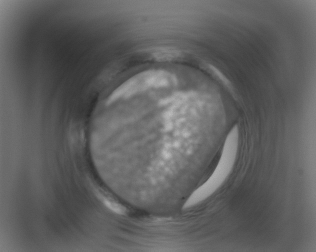 X0000081310405200702082115