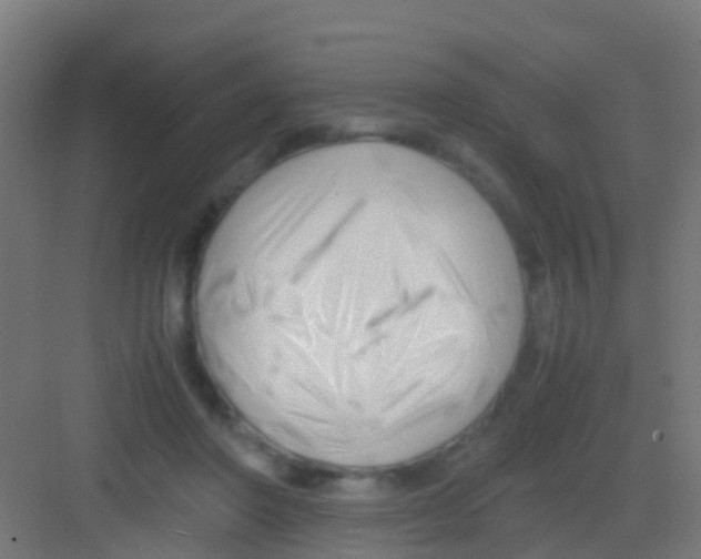 X0000081310406200702082115