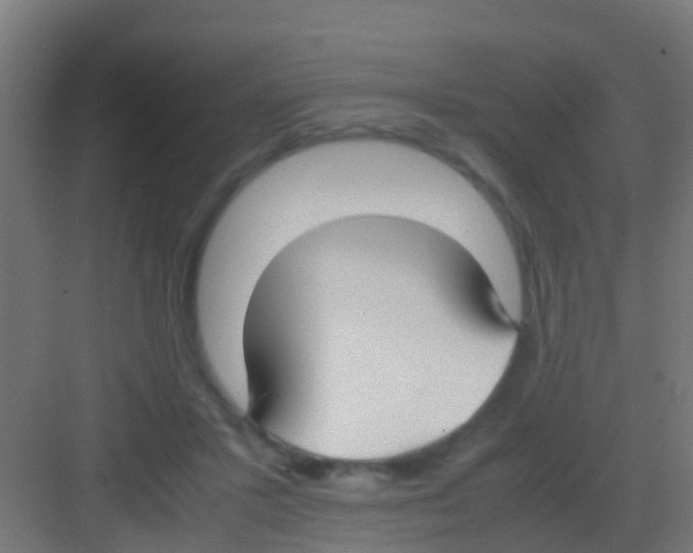 X0000081310407200702082115