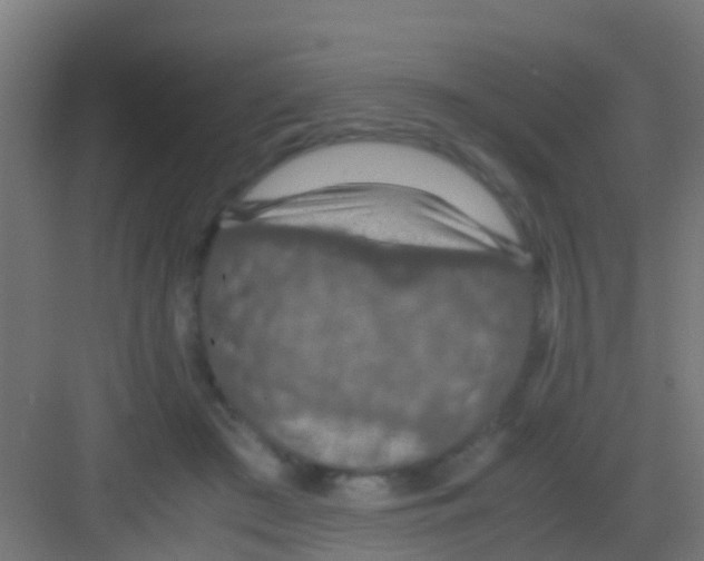 X0000081310409200702082115