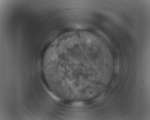 X0000081310410200702082115