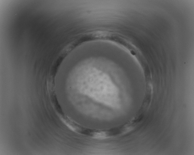 X0000081310411200702082115