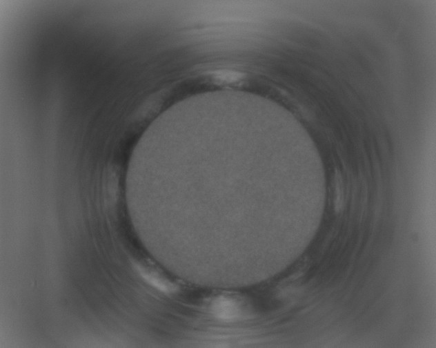 X0000081310412200702082115