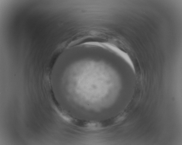 X0000081310415200702082115