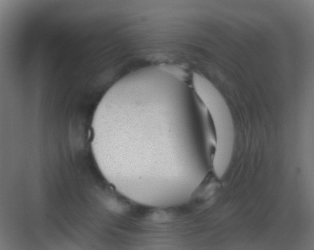 X0000081310416200702082115