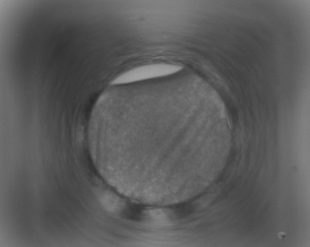 X0000081310417200702082115