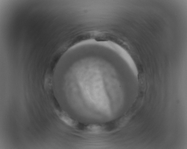 X0000081310419200702082115