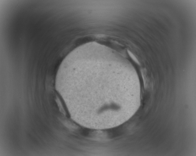 X0000081310421200702082115