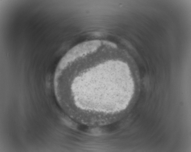 X0000081310423200702082115