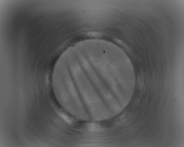 X0000081310424200702082115