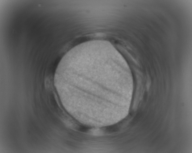 X0000081310425200702082115