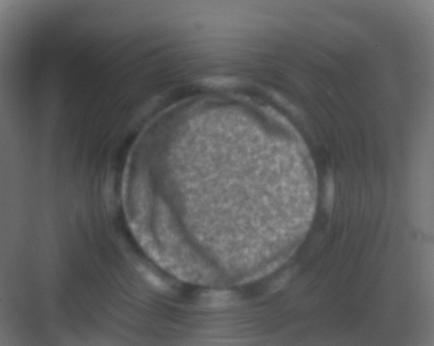 X0000081310428200702082115