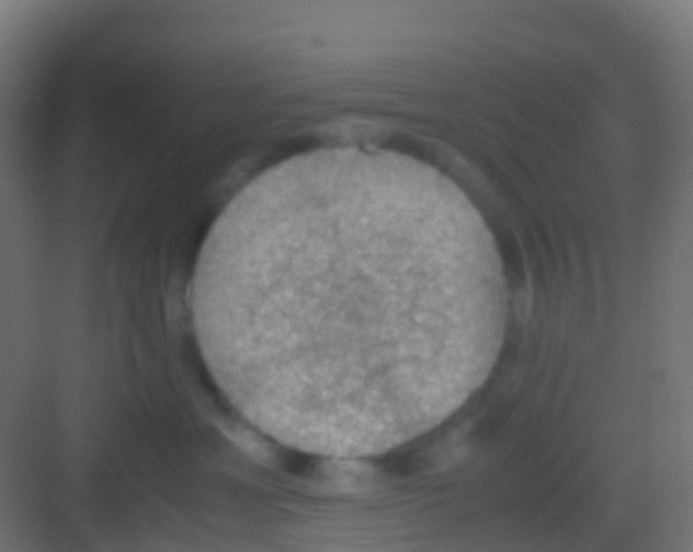 X0000081310429200702082115