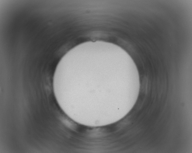 X0000081310430200702082115