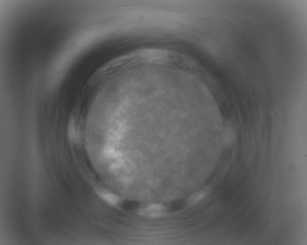 X0000081310431200702082115