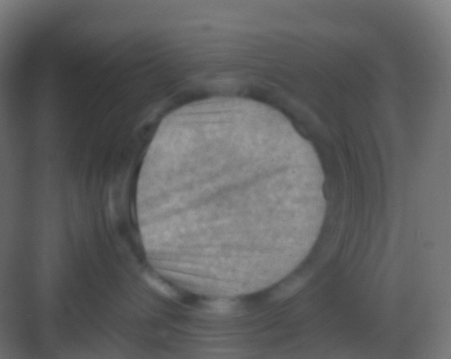 X0000081310432200702082115