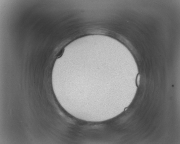 X0000081310433200702082114