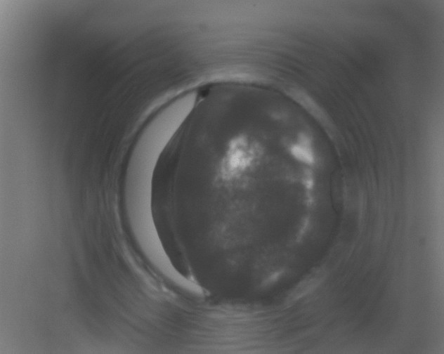 X0000081310434200702082114