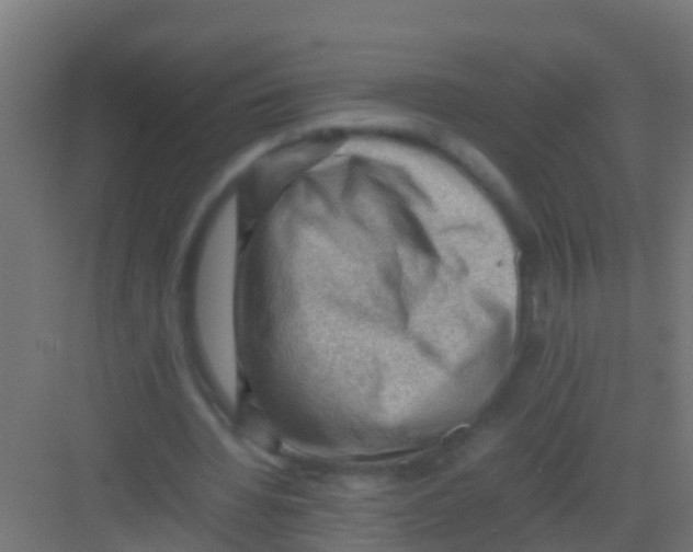 X0000081310436200702082114