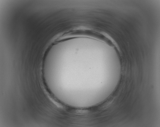 X0000081310437200702082114