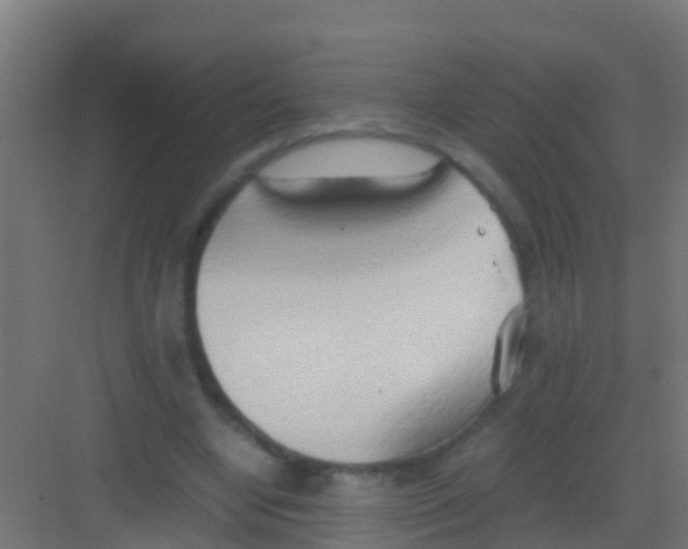 X0000081310442200702082114