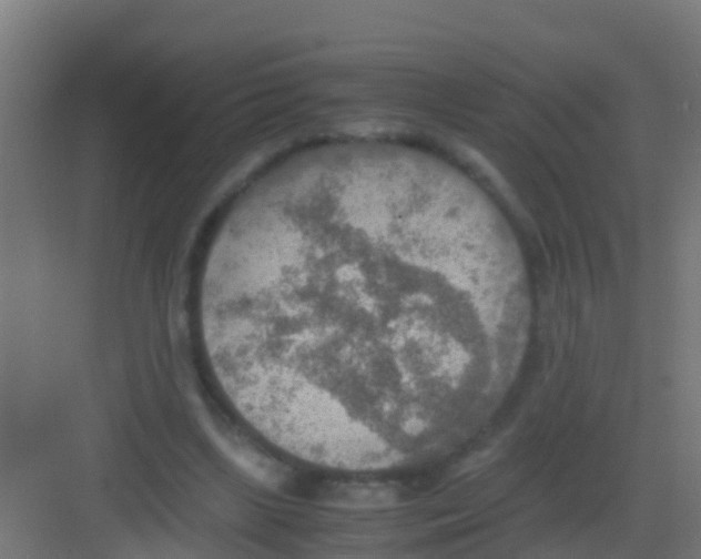 X0000081310443200702082114