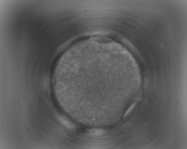 X0000081310444200702082114