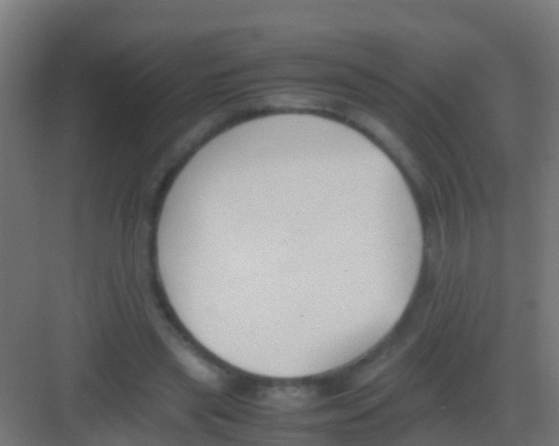 X0000081310445200702082114