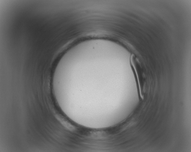 X0000081310446200702082114