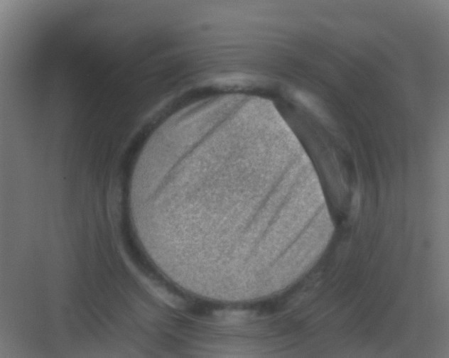 X0000081310448200702082114