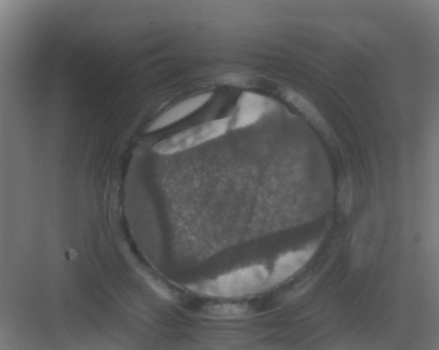 X0000081310449200702082114