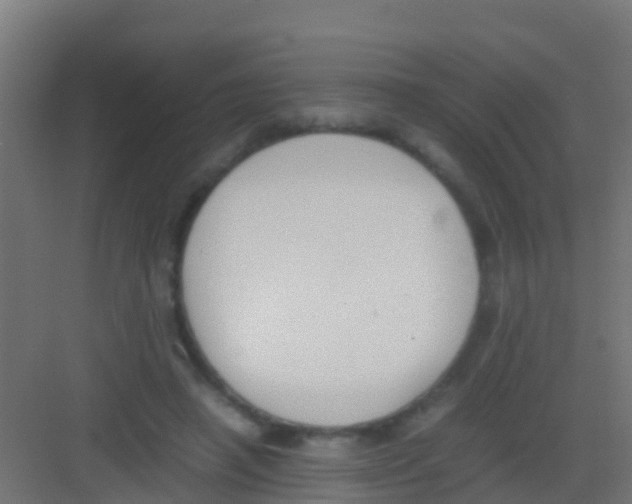 X0000081310450200702082114