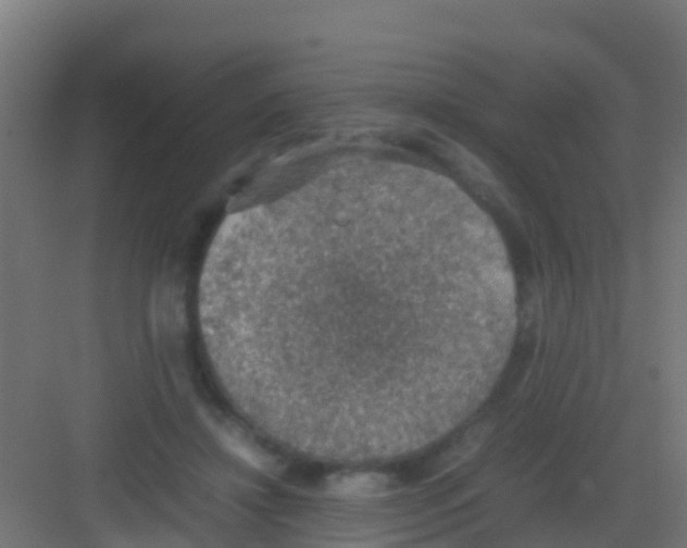 X0000081310452200702082114