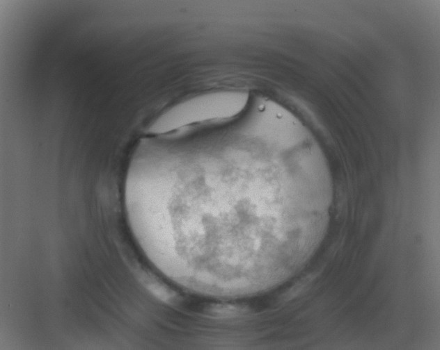 X0000081310453200702082114